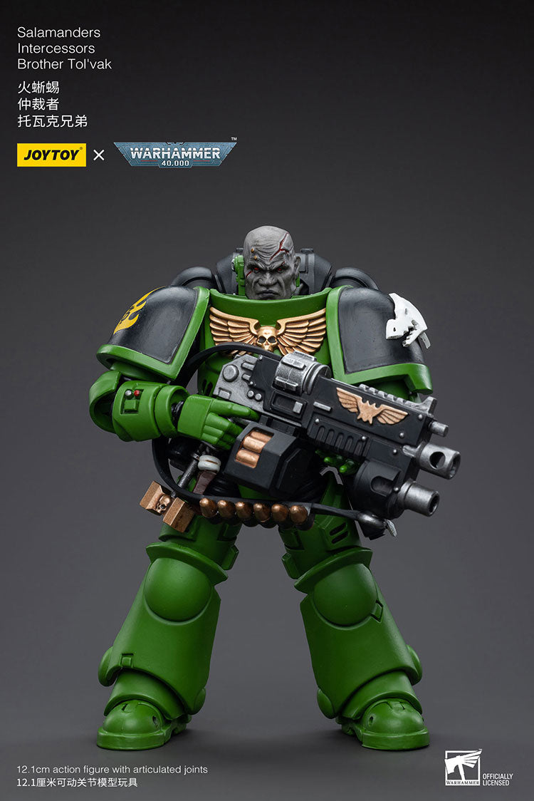 JoyToy: Salamanders Intercessors Brother Tol'vak