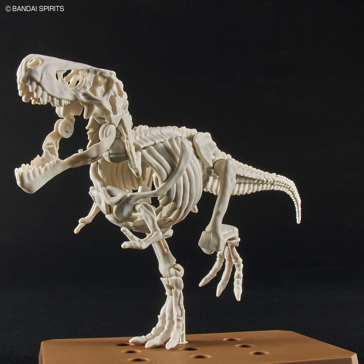 Plannosaurus: Tyrannosaurus