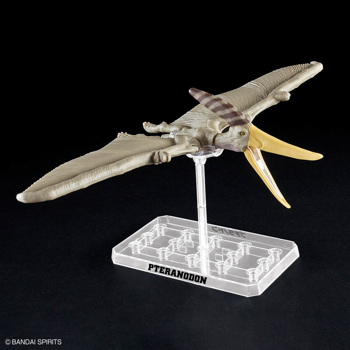 Plannosaurus: Pteranodon