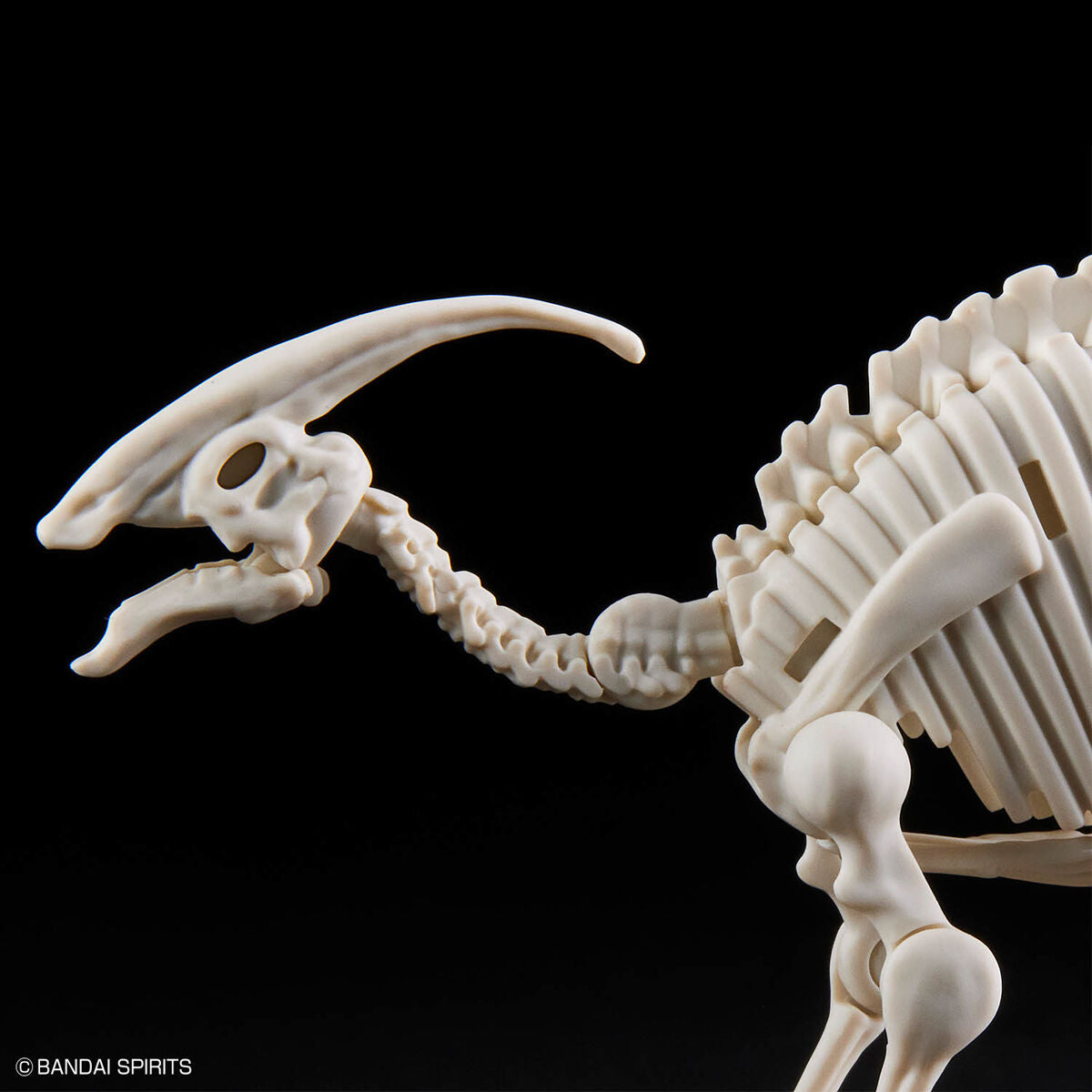 Plannosaurus: Parasaurolophus