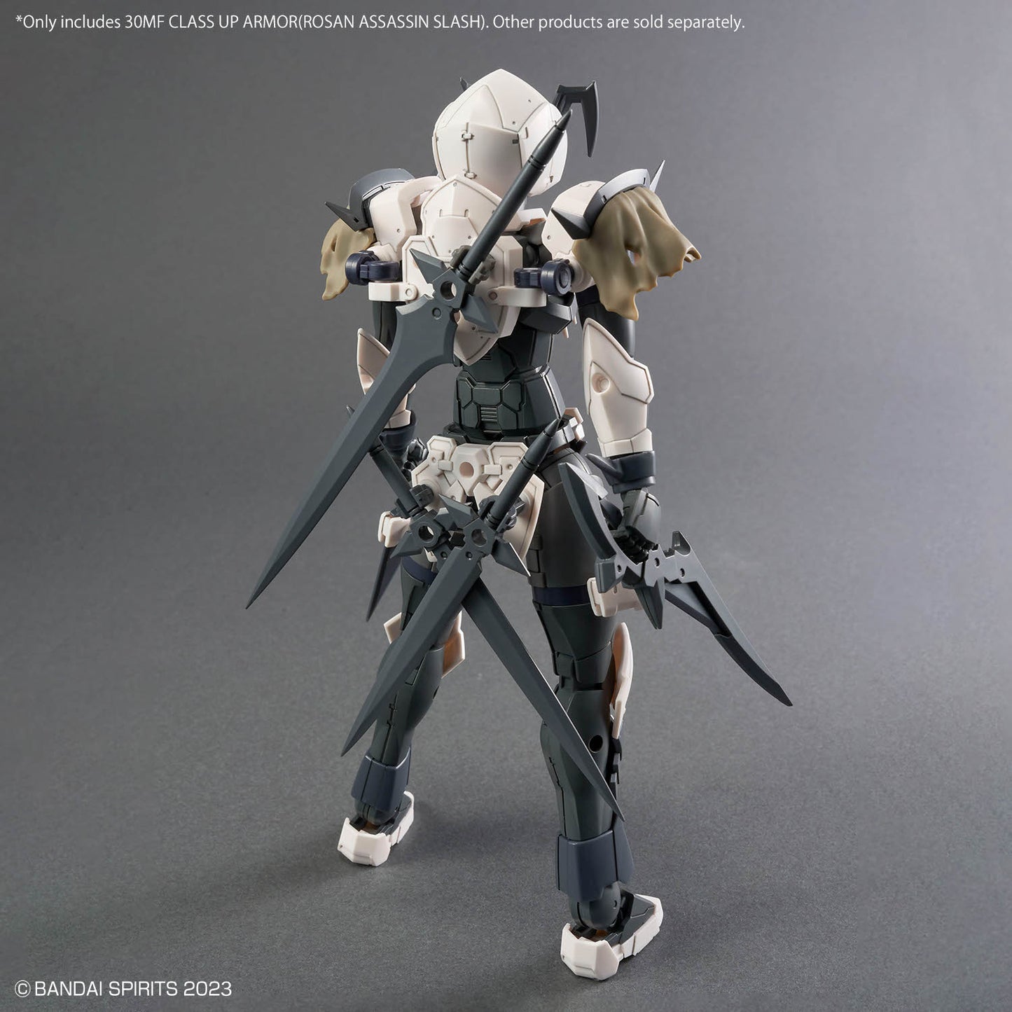30 Minutes Fantasy: Class Up Armor - Rosan Assassin Slash