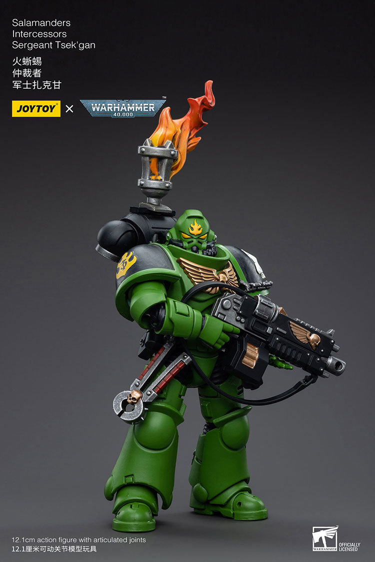 JoyToy: Salamanders Intercessors Sergeant Tsek'gan