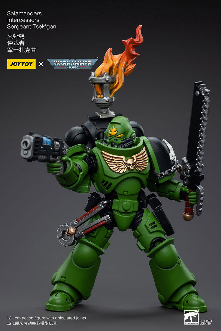 JoyToy: Salamanders Intercessors Sergeant Tsek'gan