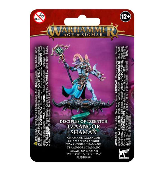 Warhammer Age of Sigmar: Tzaangor Shaman