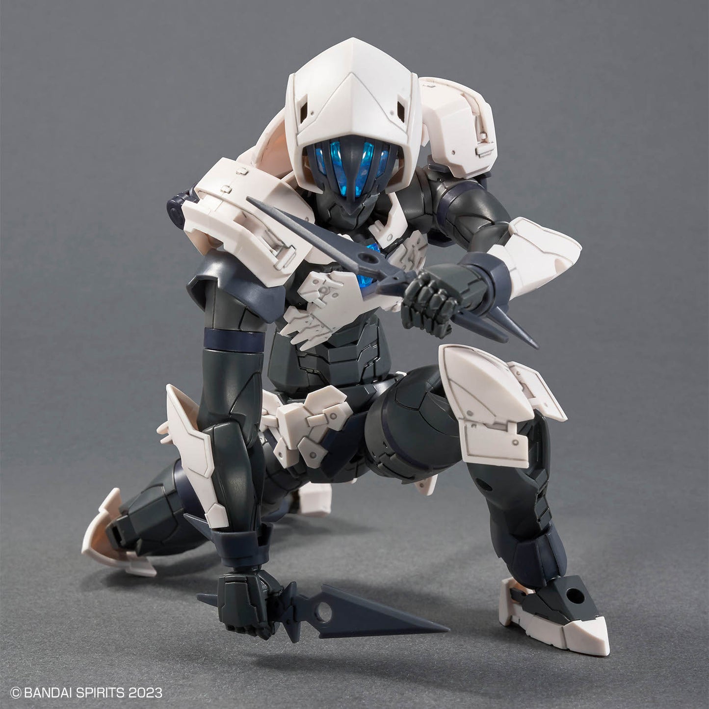 30 Minutes Fantasy: Rosan Assassin