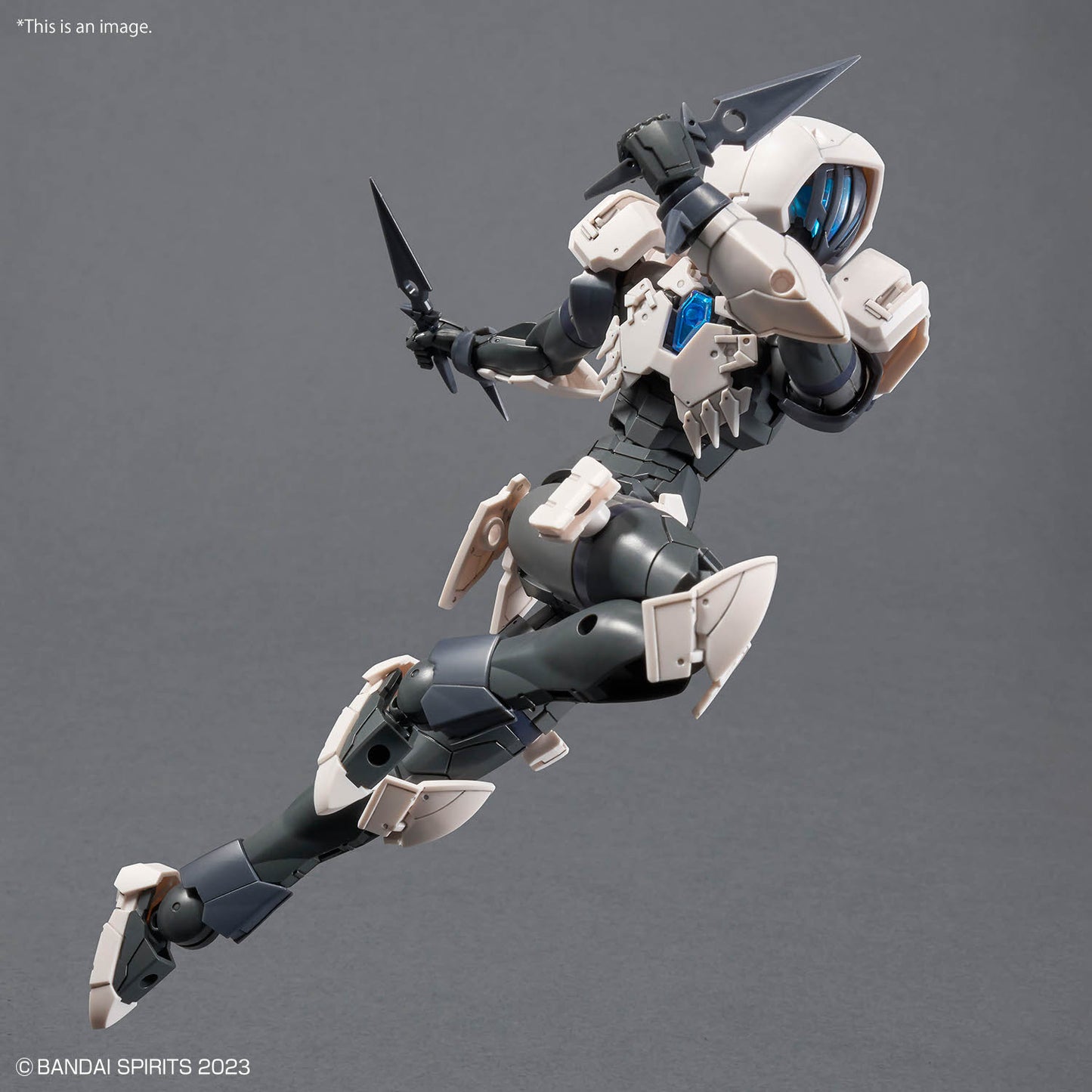30 Minutes Fantasy: Rosan Assassin