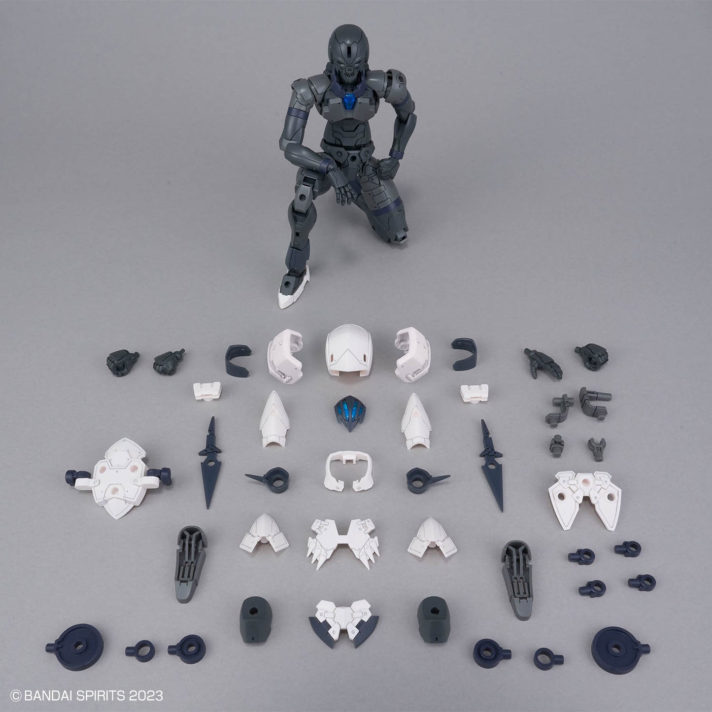 30 Minutes Fantasy: Rosan Assassin