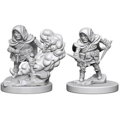 D&D Nolzur 奇妙的未上漆微缩模型:第一波:半身人男性盗贼