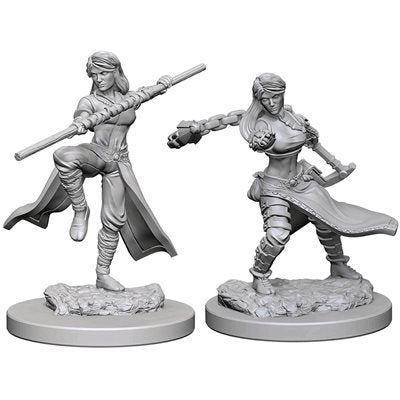 D&D Nolzur 奇妙的未上漆微缩模型:第一波:人类女僧侣