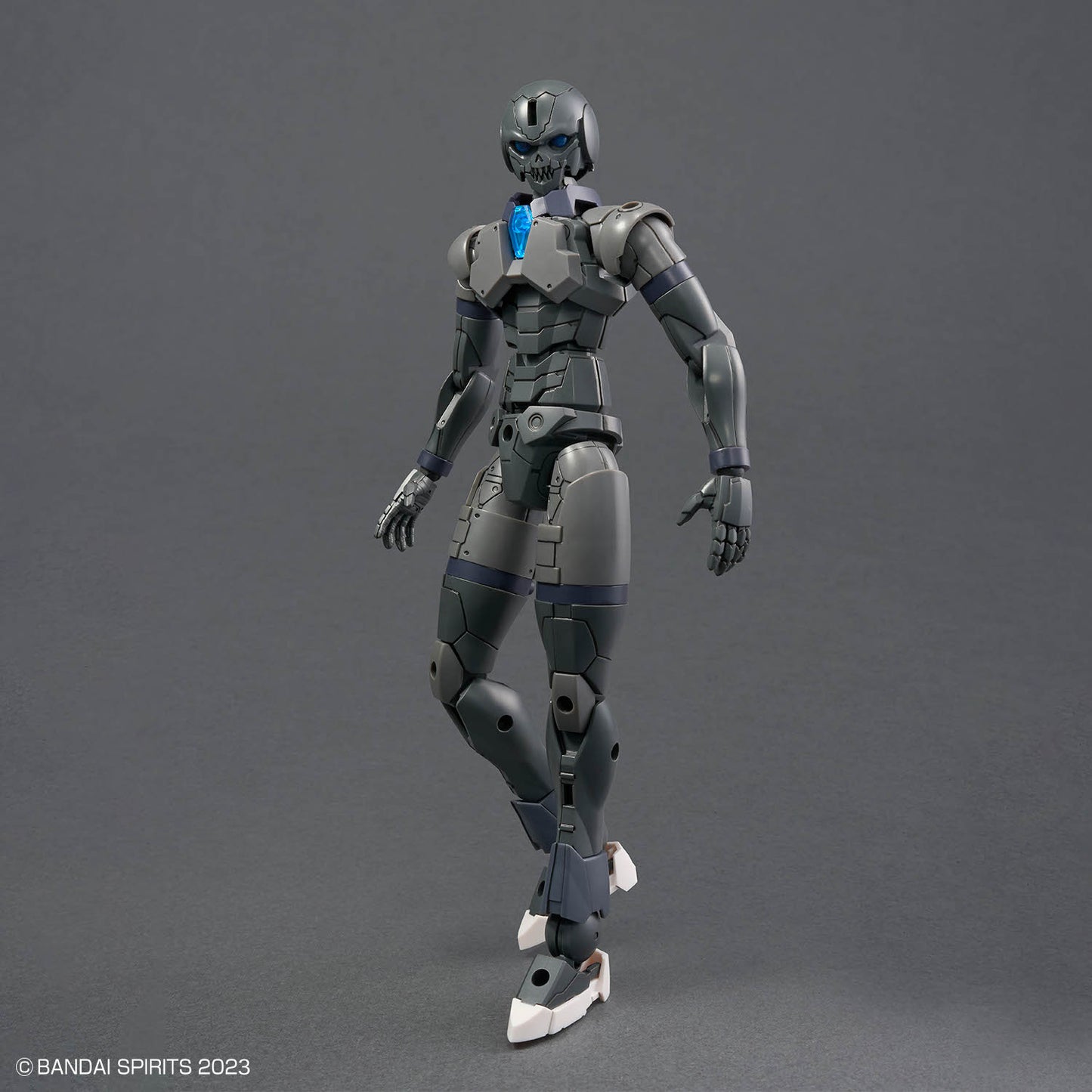 30 Minutes Fantasy: Rosan Assassin