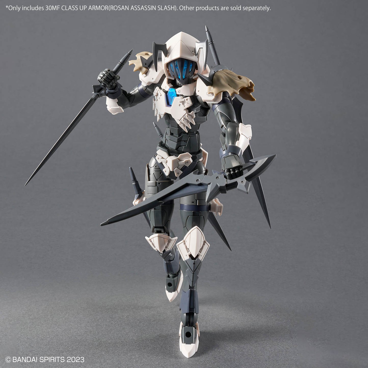 30 Minutes Fantasy: Class Up Armor - Rosan Assassin Slash