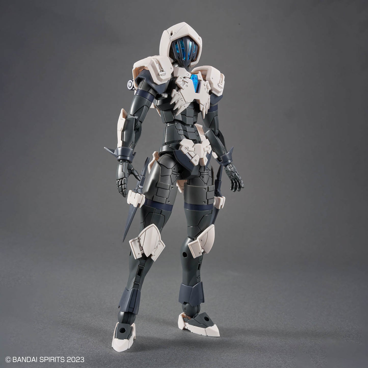 30 Minutes Fantasy: Rosan Assassin