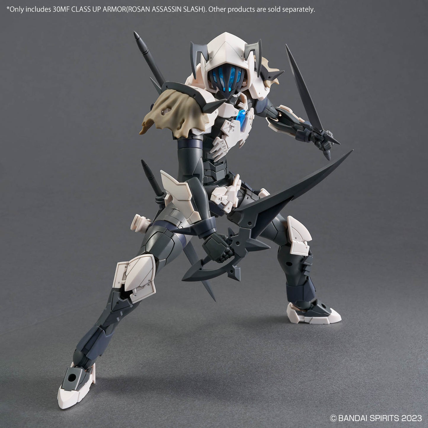 30 Minutes Fantasy: Class Up Armor - Rosan Assassin Slash