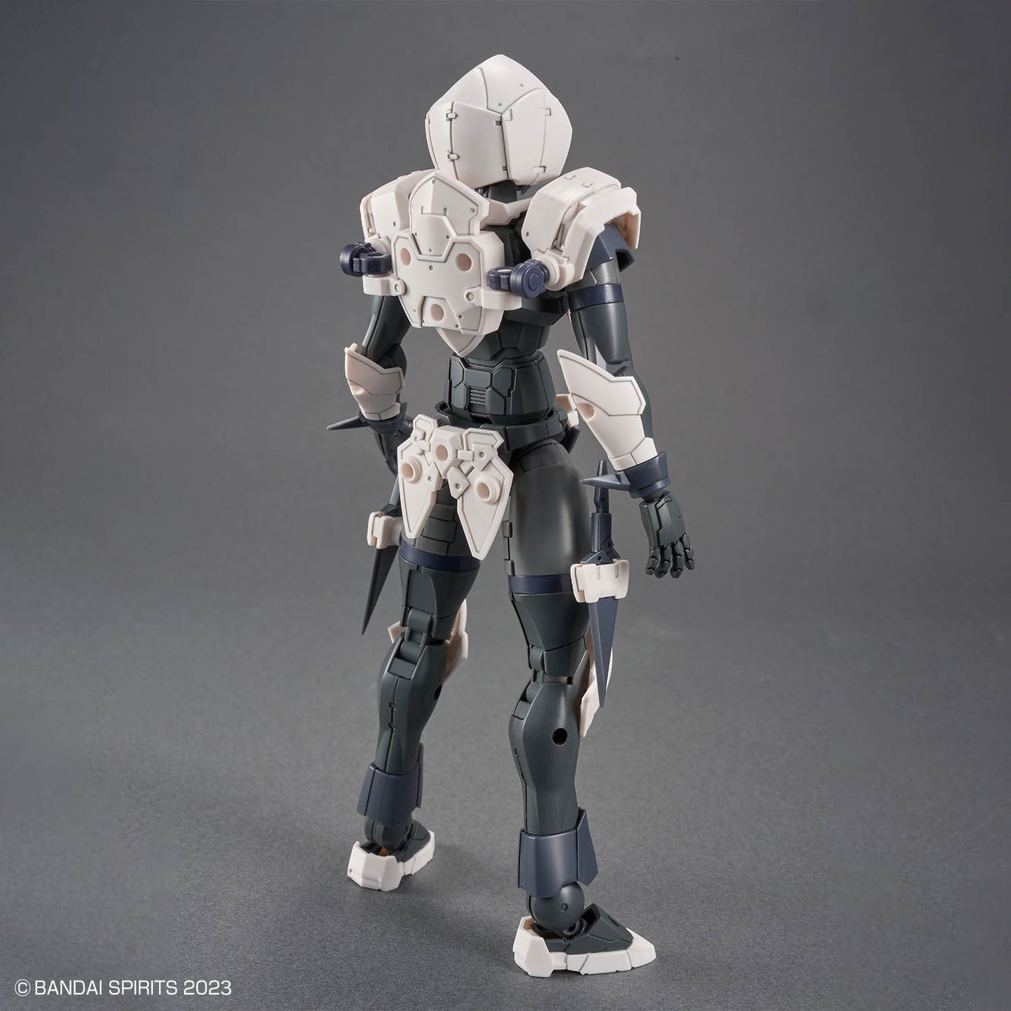30 Minutes Fantasy: Rosan Assassin