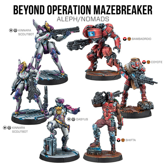 Infinity: Beyond Operation Mazebreaker [Pre-order][Available Late June]