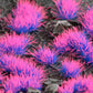 Gamers Grass: Alien Neon 4mm Tuft