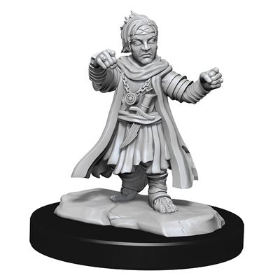 Roleplaying Miniatures