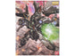 MG 1/100 Strike Noir Gundam (Mobile Suit Gundam Seed: Stargazer)