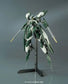 HGIBO 1/144 Gundam Astaroth Rinascimento（高达：铁血的奥尔芬斯）