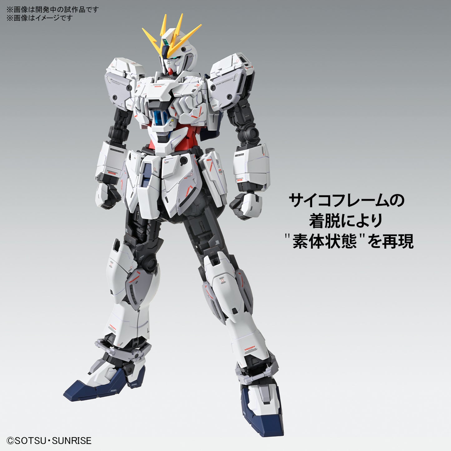 MG 1/100 Narrative Gundam C-Packs Ver. Ka "Mobile Suit Gundam NT"