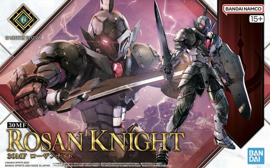 30 Minutes Fantasy: Rosan Knight