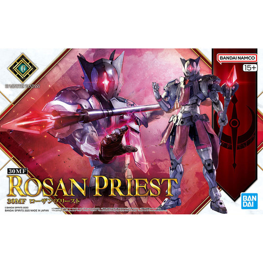 30 Minutes Fantasy: Rosan Priest