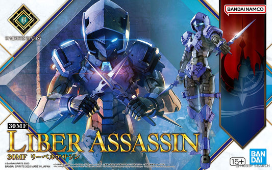 30 Minutes Fantasy: Liber Assassin