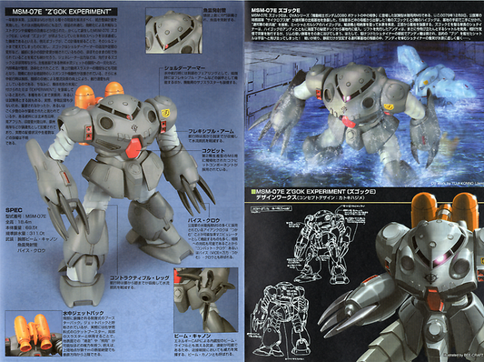 HGUC 1/144 Z'Gok Experimental