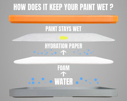 Hydration Foam for Painter v2 Wet Palette